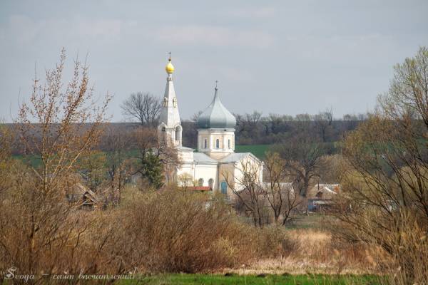 Церковь Дмитрия Солунского Льговской Район