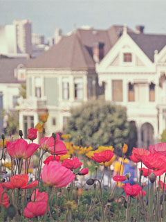 Тюльпаны в городе
