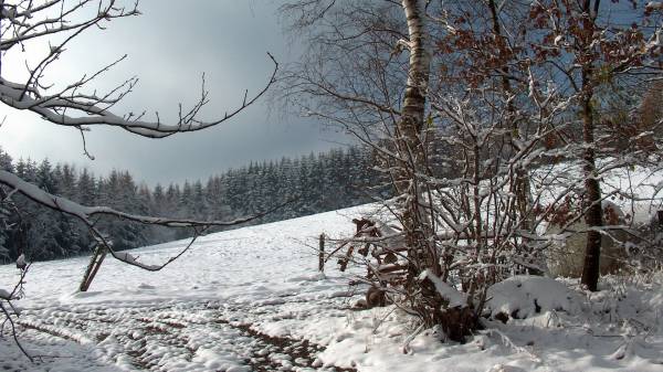 Зиняя природа, 2560х1600
