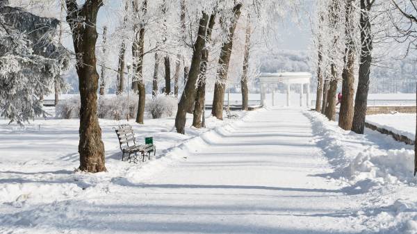 Широкая аллея в зимнем парке