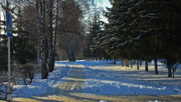 Курск зимой. Тропинка вдоль улицы Кавказская