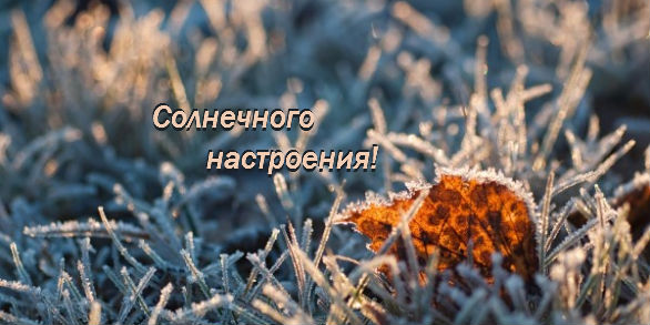 Солнечного настроения!