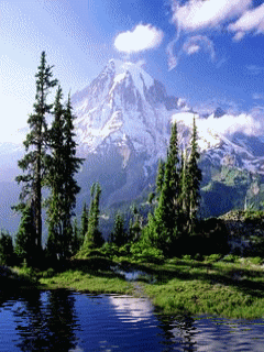 Природа gif 240x320