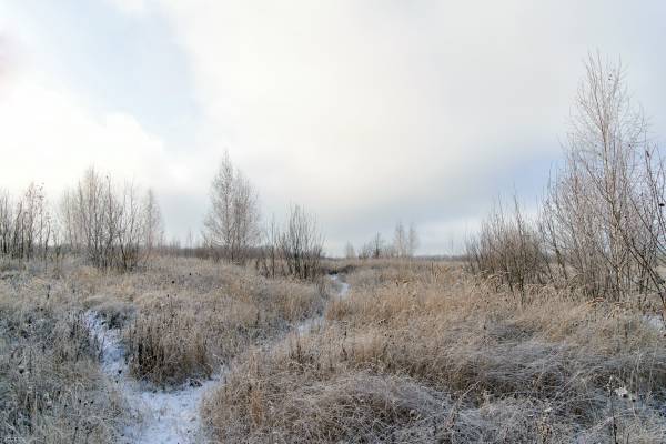 Зимний пейзаж с инеем