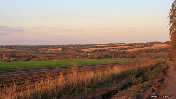 Поля ранней осени