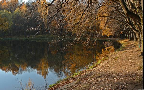 Осенняя прогулка у воды 2560х1600