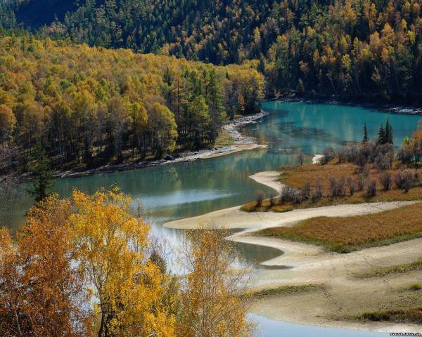 Осенний лес. Тайга. Обои 1280х1024